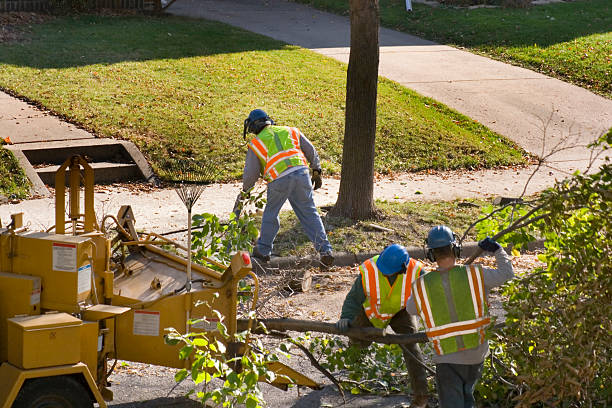 Tree Service Company in Hemlock Farms, PA